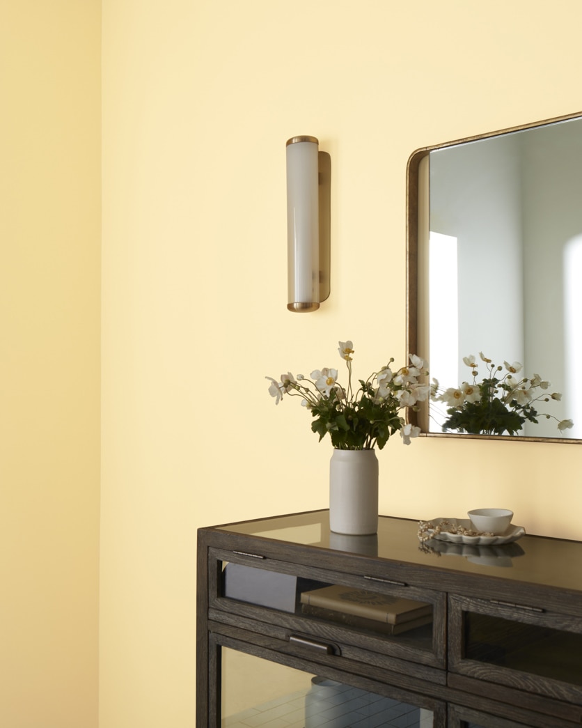 Painted wall in Butter Milk CC-216