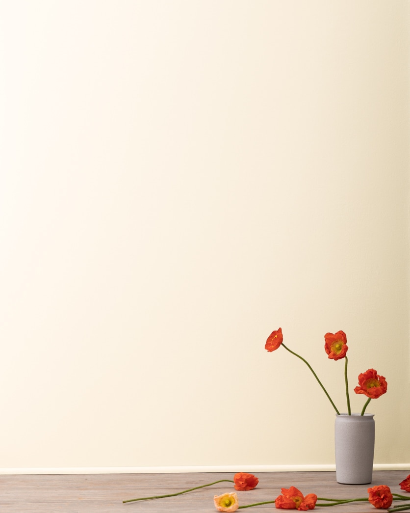 Painted wall in Butter Pecan 2165-70
