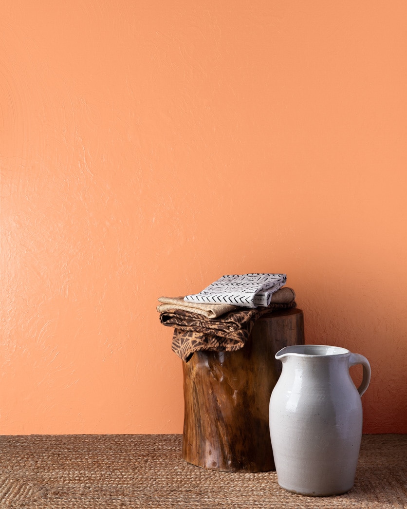 Painted wall in Butterfly Wings 090