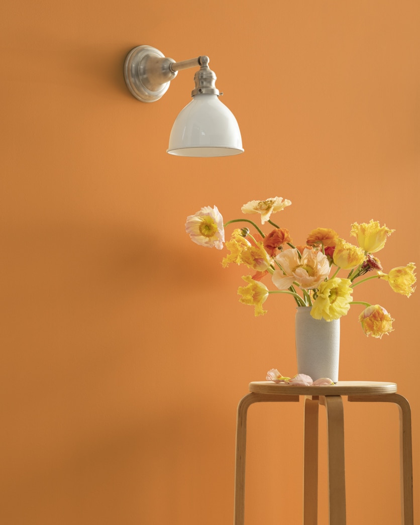 Painted wall in Butterscotch 2157-30