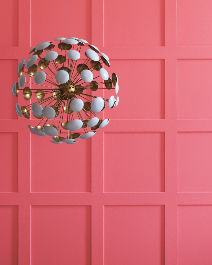 Painted wall in Cactus Flower 1335