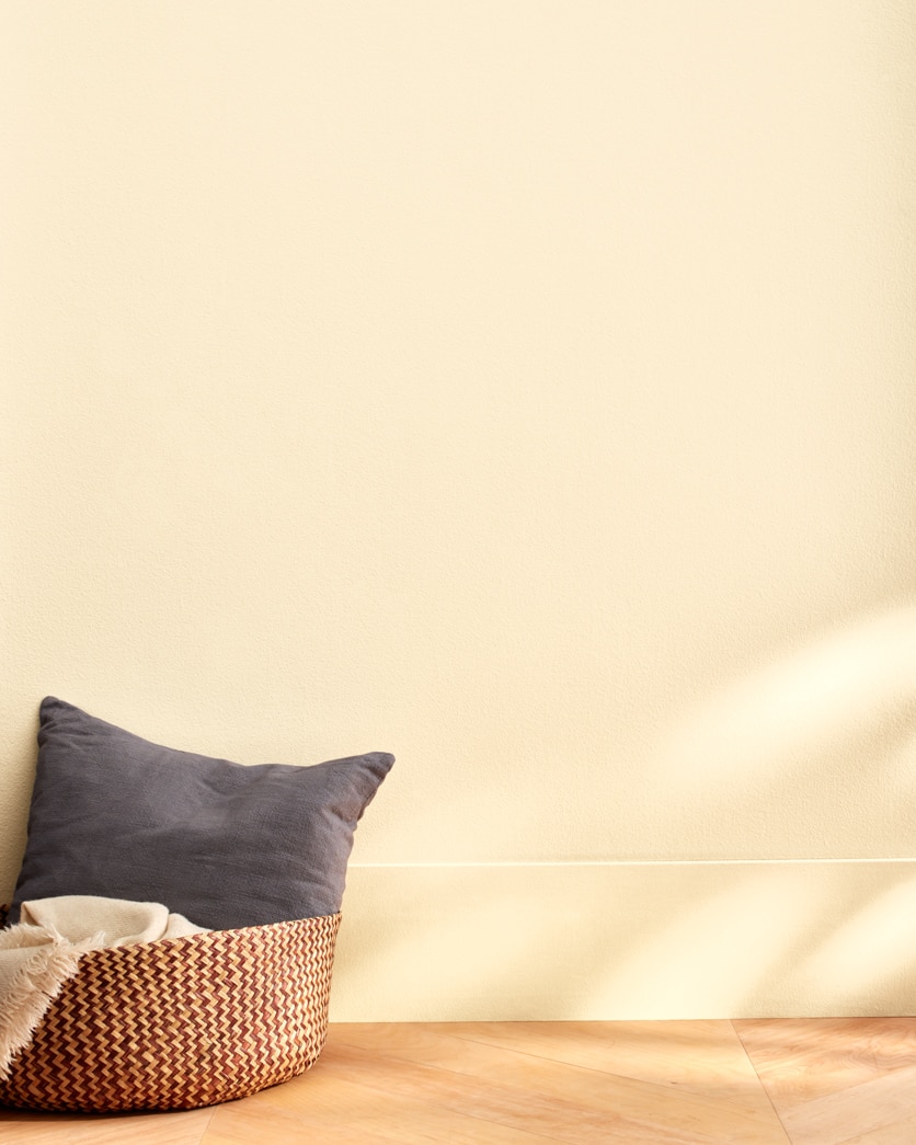 Painted wall in Calcite CW-110