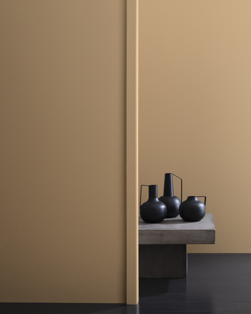 Painted wall in Camel Hair CSP-285