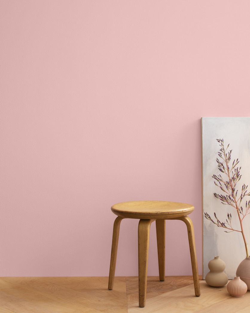 Painted wall in Camellia Pink 2093-50