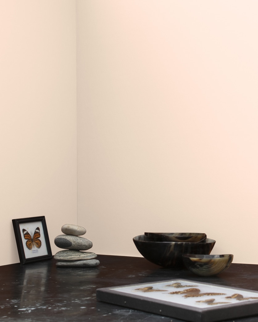 Painted wall in Candle Light 099