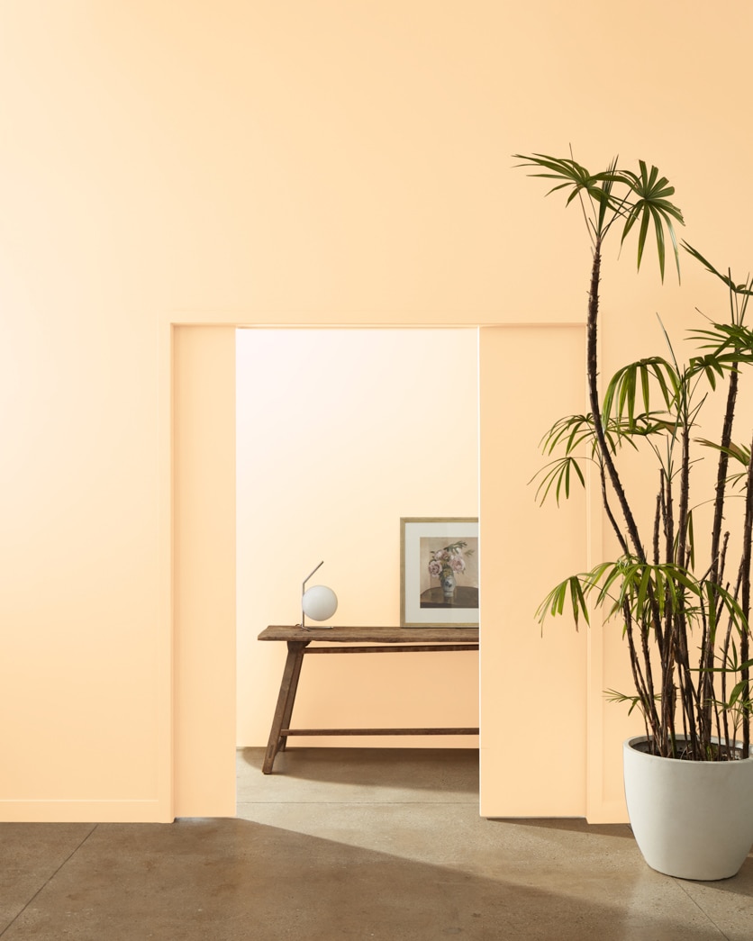 Painted wall in Cantaloupe 157
