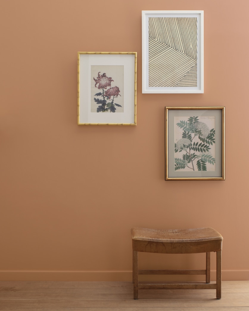 Painted wall in Cappuccino Muffin 1155