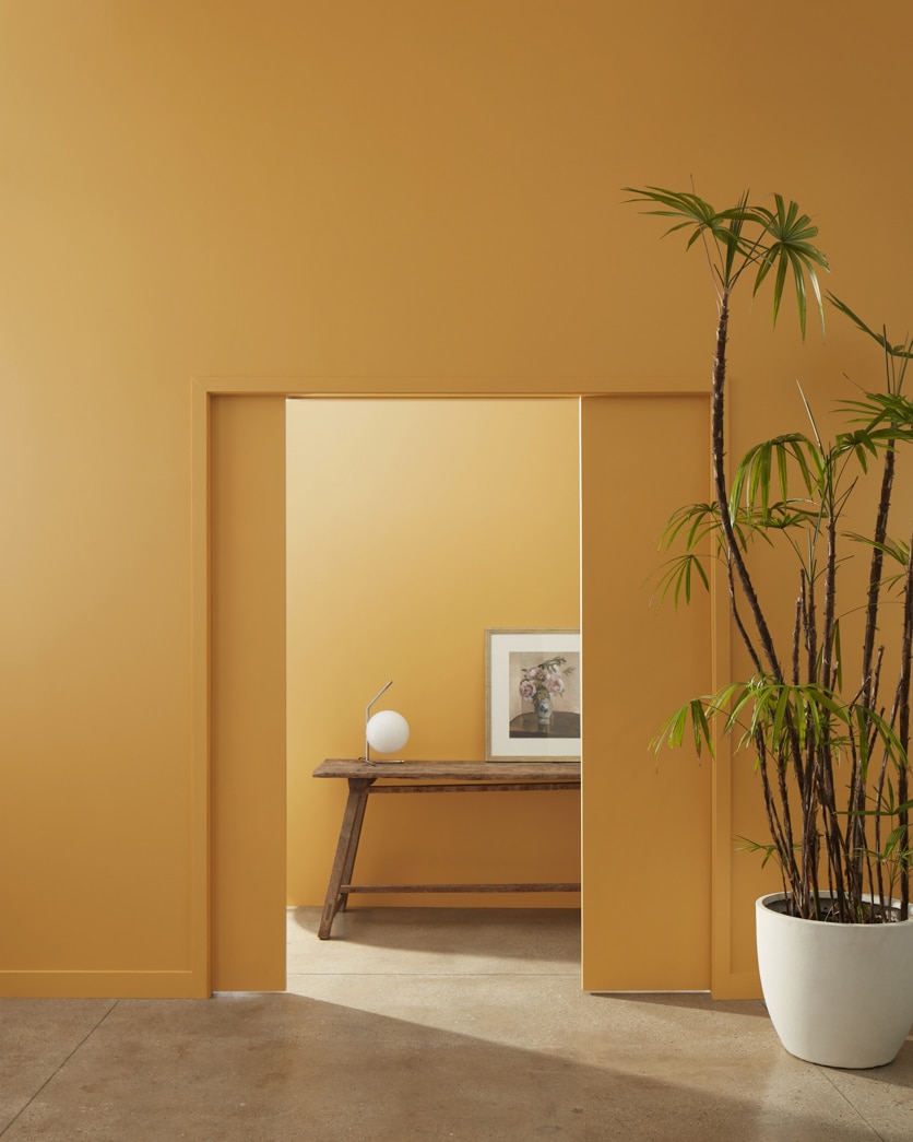 Painted wall in Caramel Corn 2160-10