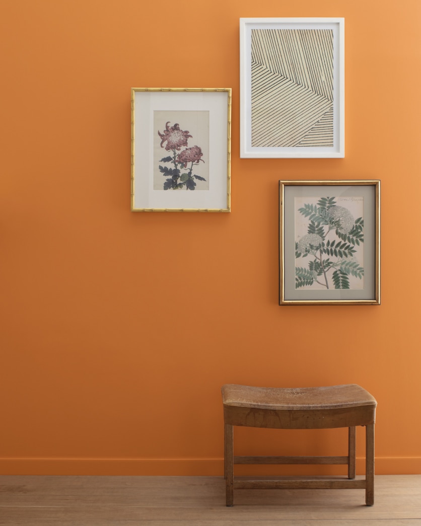 Painted wall in Caramel Latte 2166-20