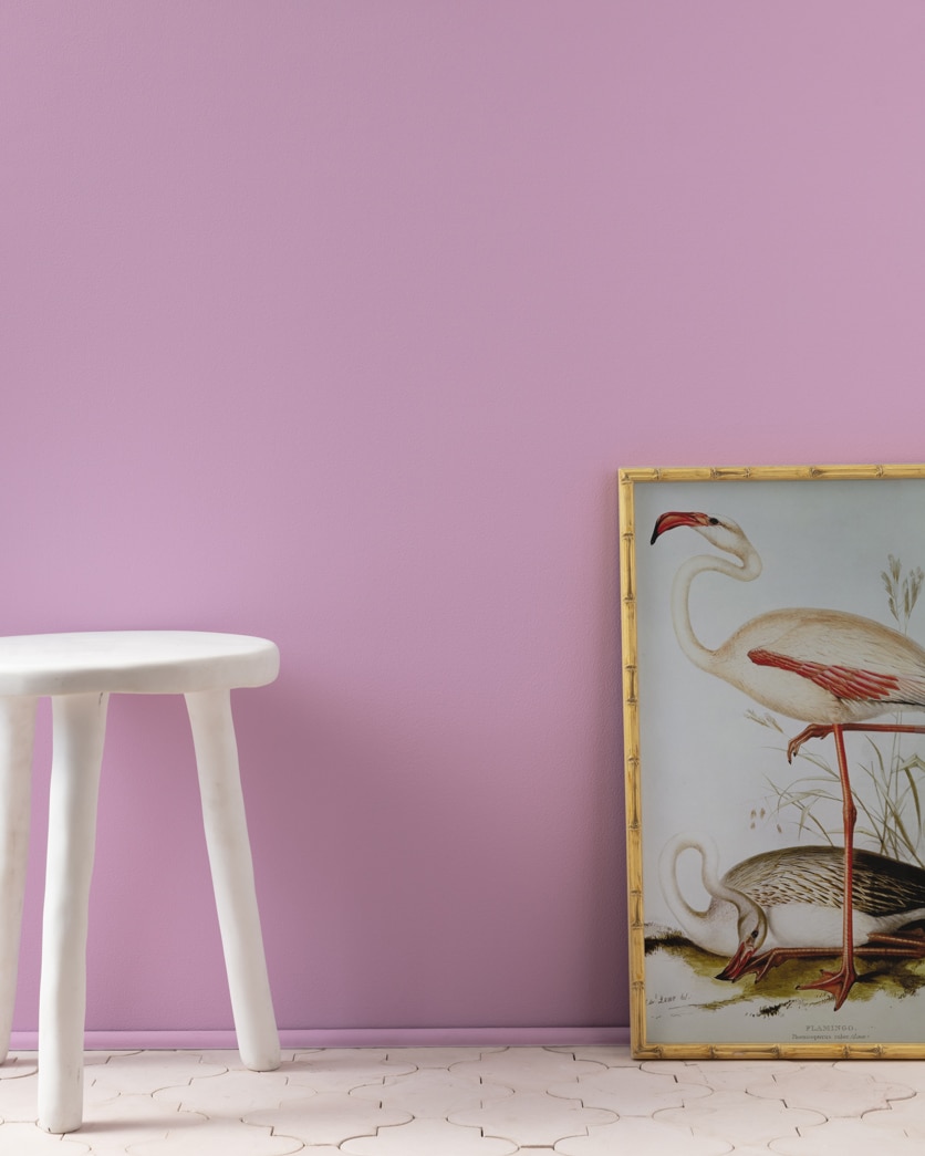 Painted wall in Caribbean Sunset 1377