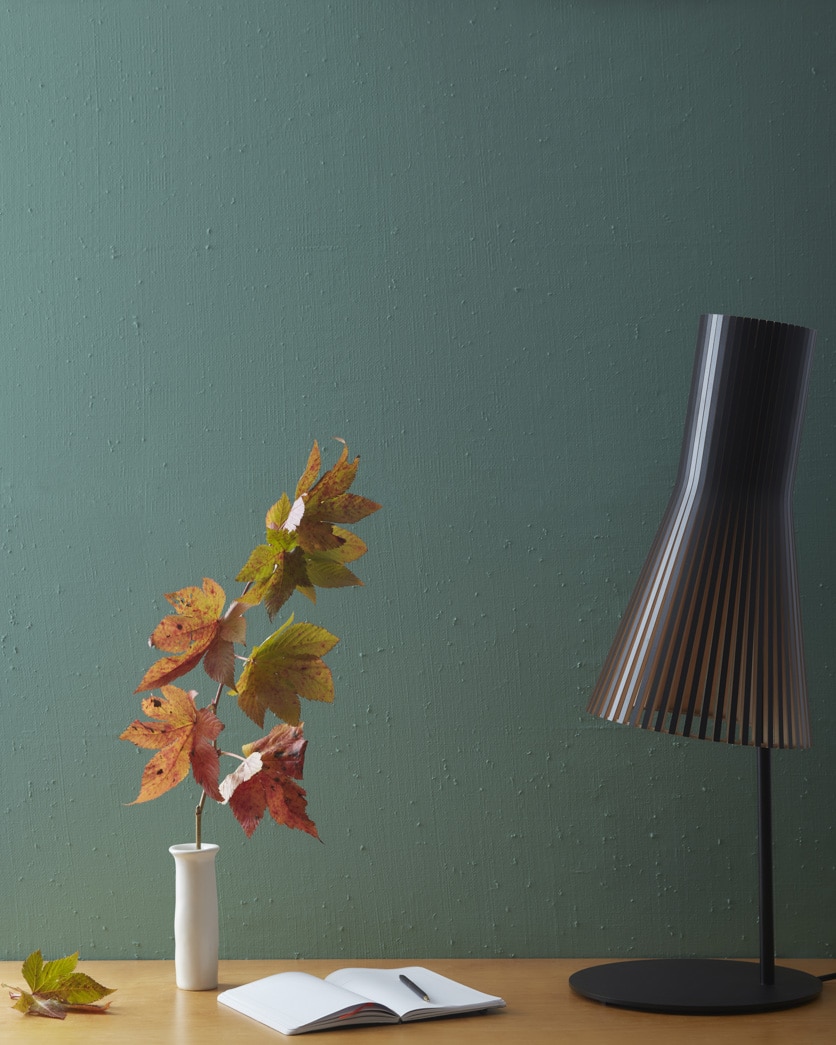 Painted wall in Caribbean Teal 2123-20