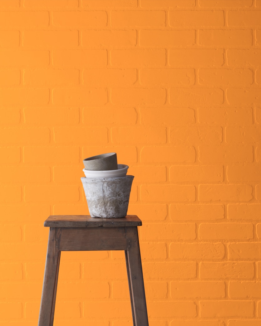 Painted wall in Carrot Stick 2016-30