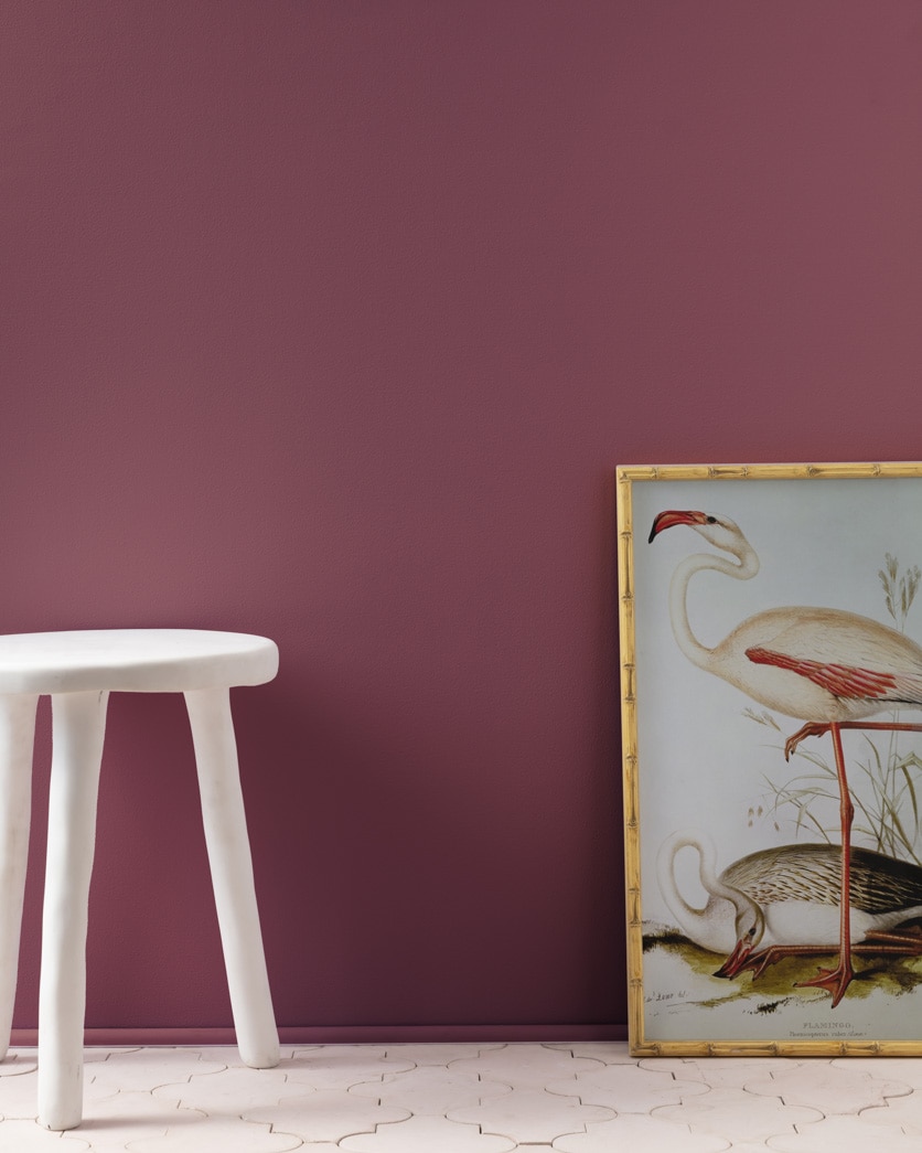 Painted wall in Carter Plum CW-355