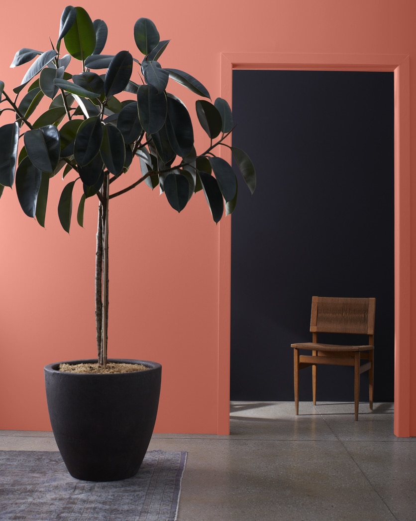 Painted wall in Carter Red CW-230