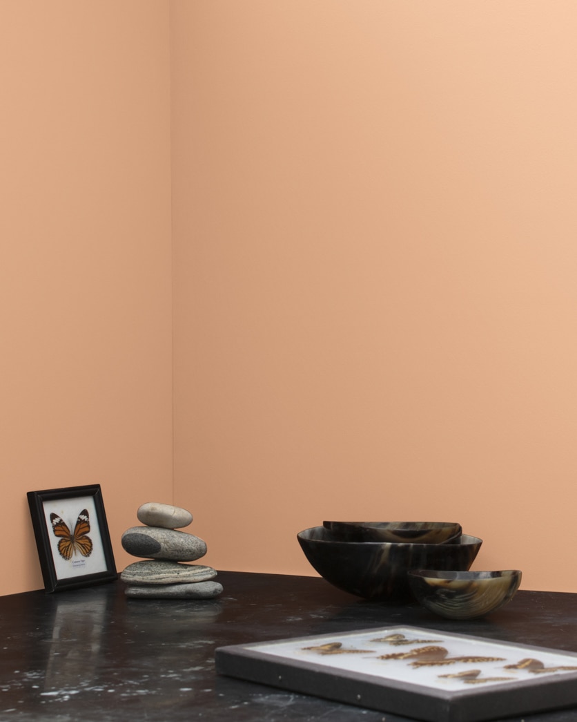 Painted wall in Casabella CC-186