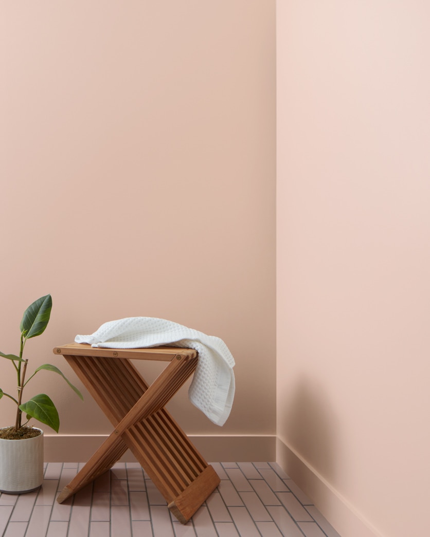 Painted wall in Cashmere Wrap CSP-345