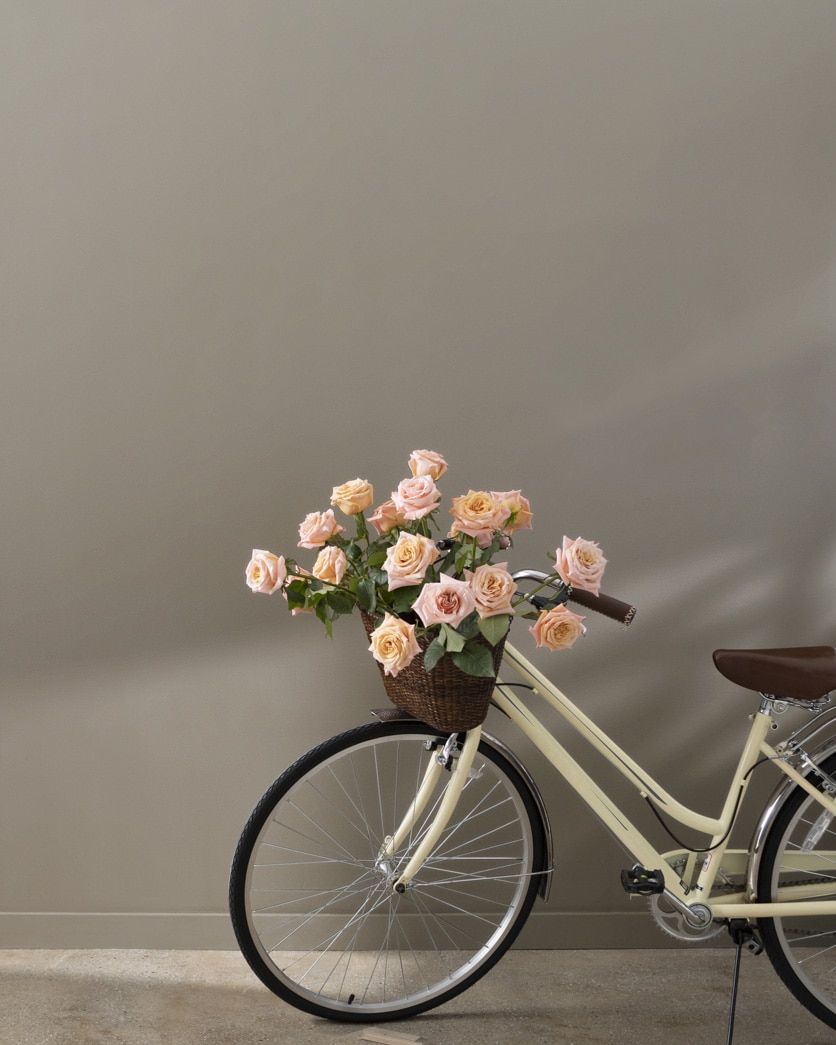 Painted wall in Cathedral Gray CSP-205