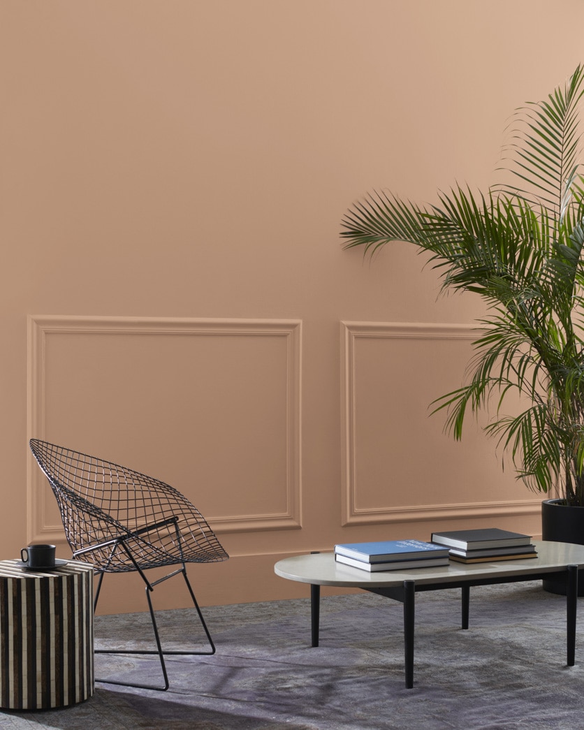 Painted wall in Chadwick Brown 1160