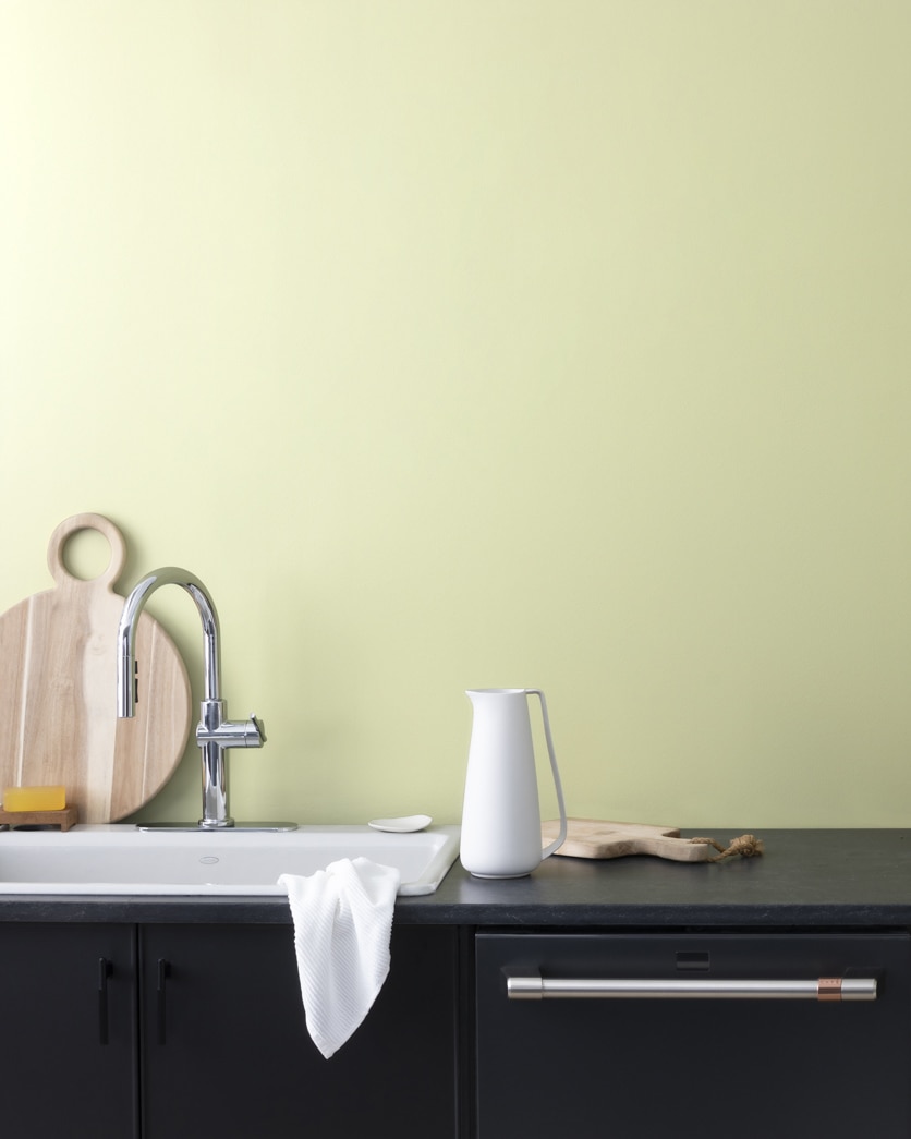 Painted wall in Chameleon 526