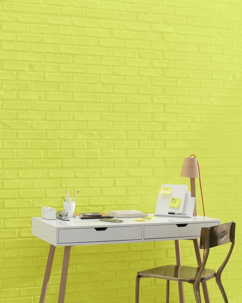 Painted wall in Chamomile 397