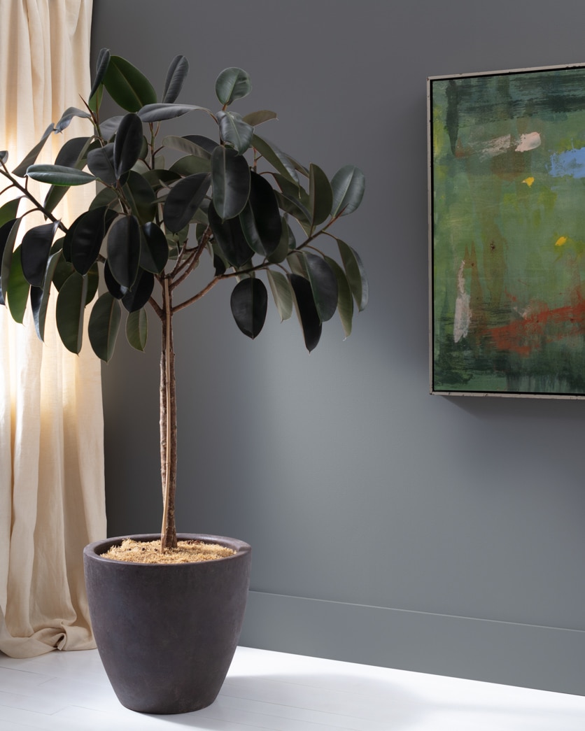 Painted wall in Charcoal Linen 2133-40