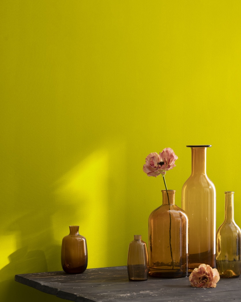 Painted wall in Chartreuse 2024-10