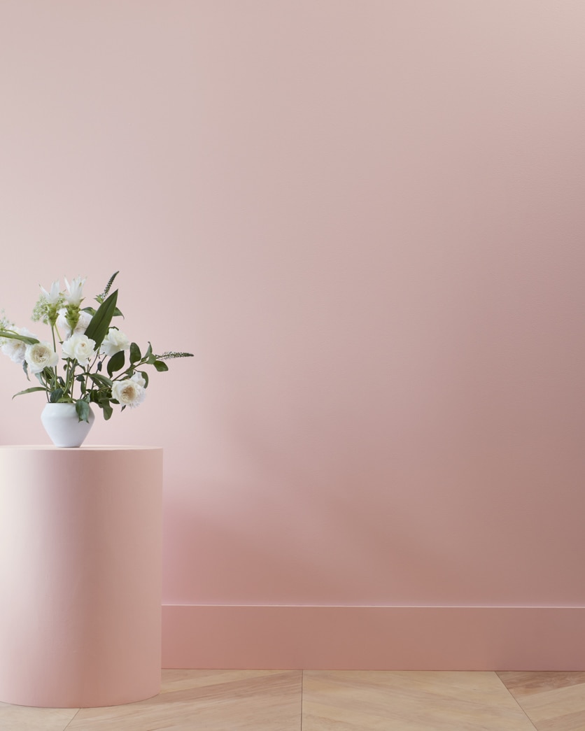 Painted wall in Cherry Malt 2104-50