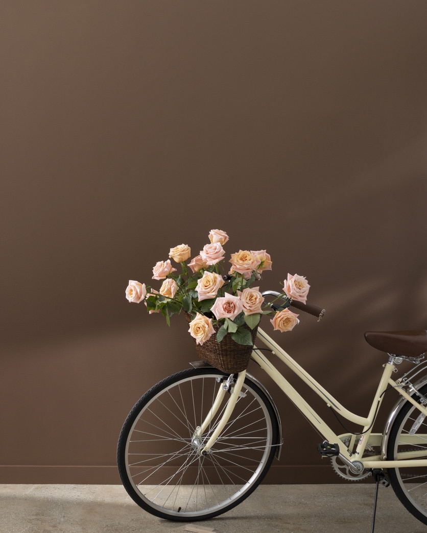 Painted wall in Chocolate Candy Brown 2107-10