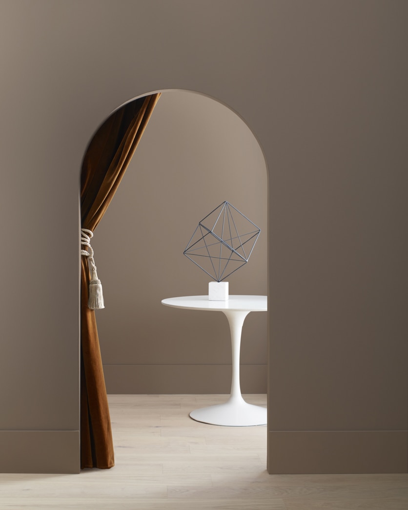 Painted wall in Chocolate Velvet CSP-235