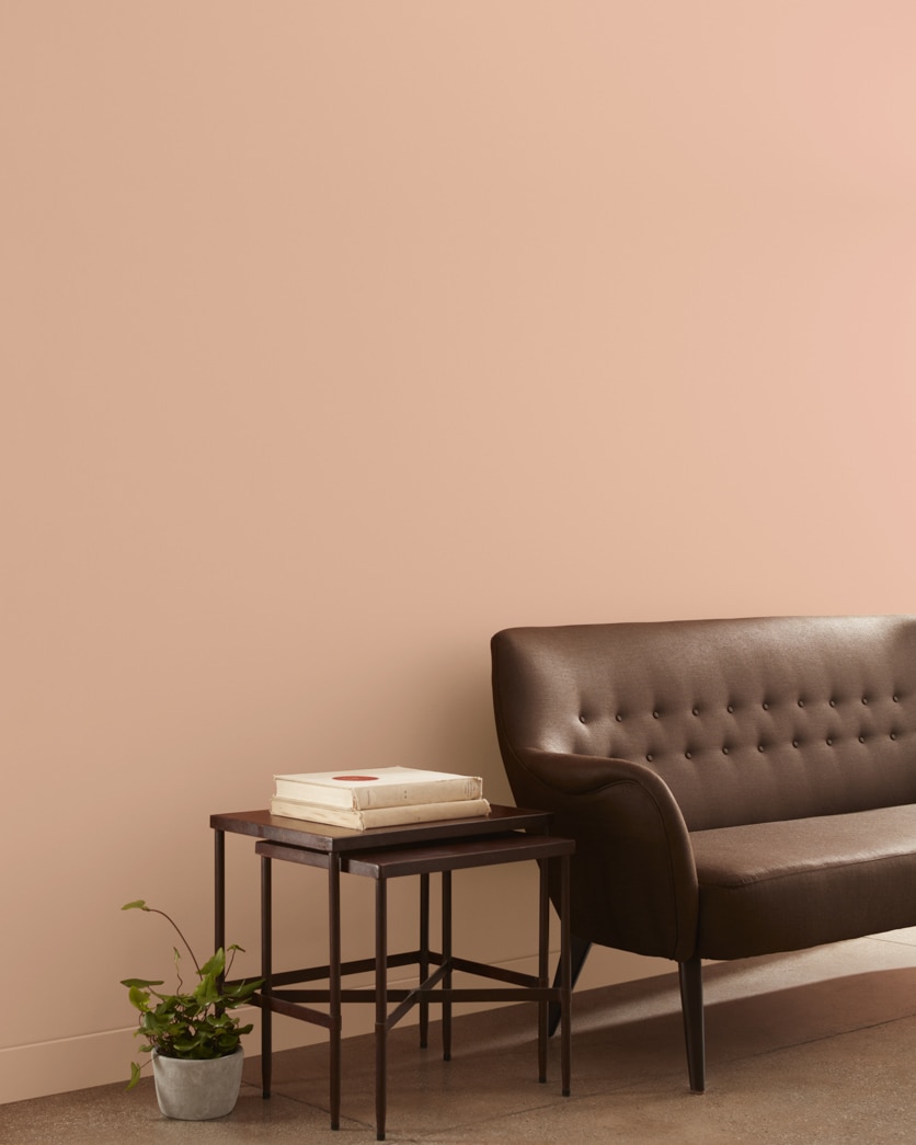 Painted wall in Cinnamon 'n Spice 1215