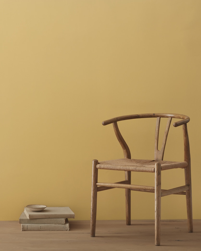 Painted wall in Citrine AF-370