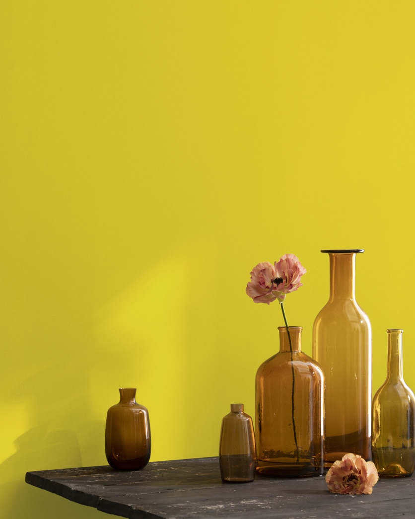 Painted wall in Citron 2024-30
