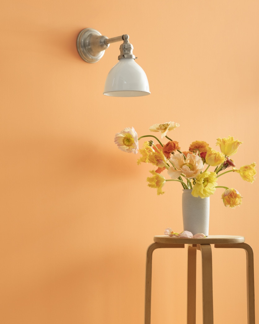 Painted wall in Citrus Blossom 123