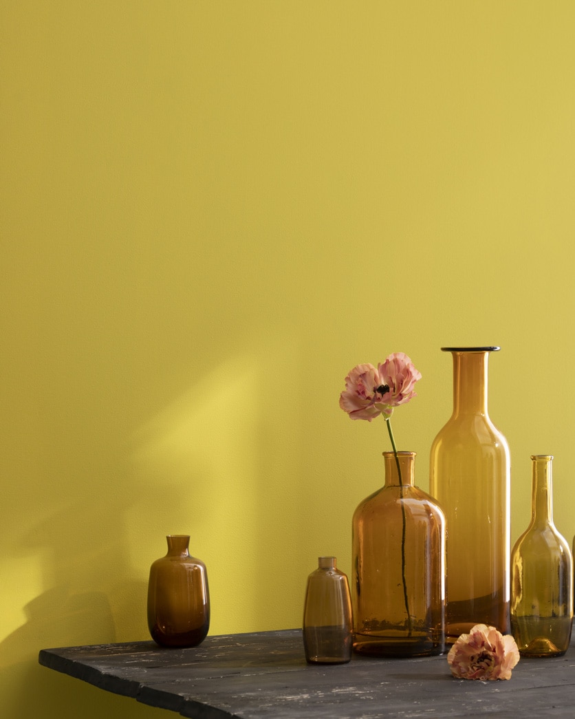 Painted wall in Citrus Burst 364