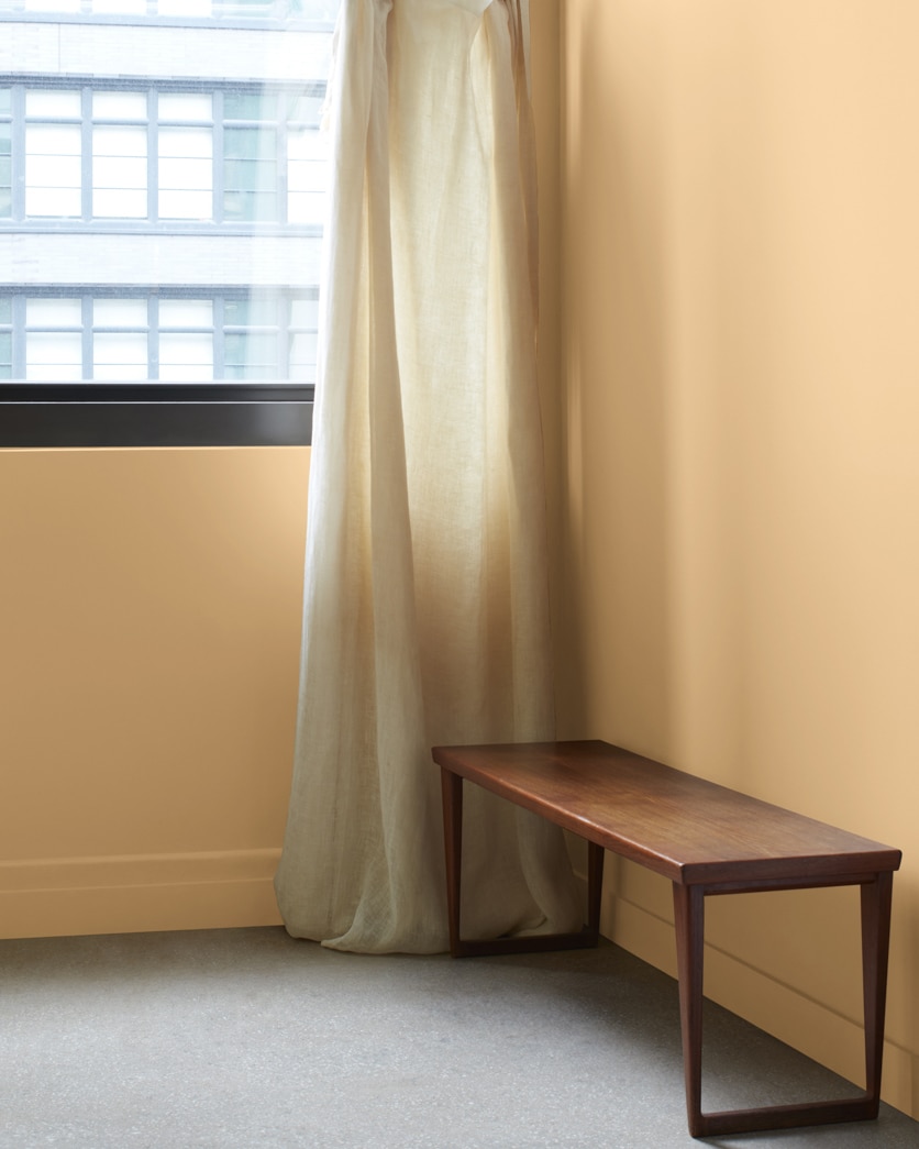 Painted wall in Classic Caramel 1118