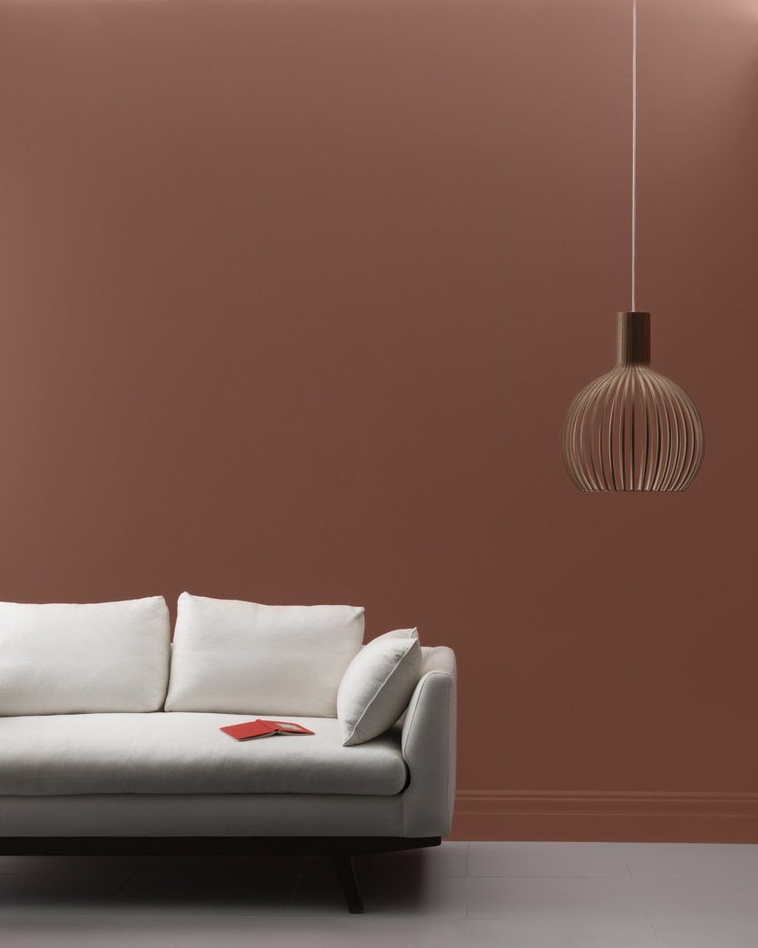Painted wall in Cocoa Brown 2101-20