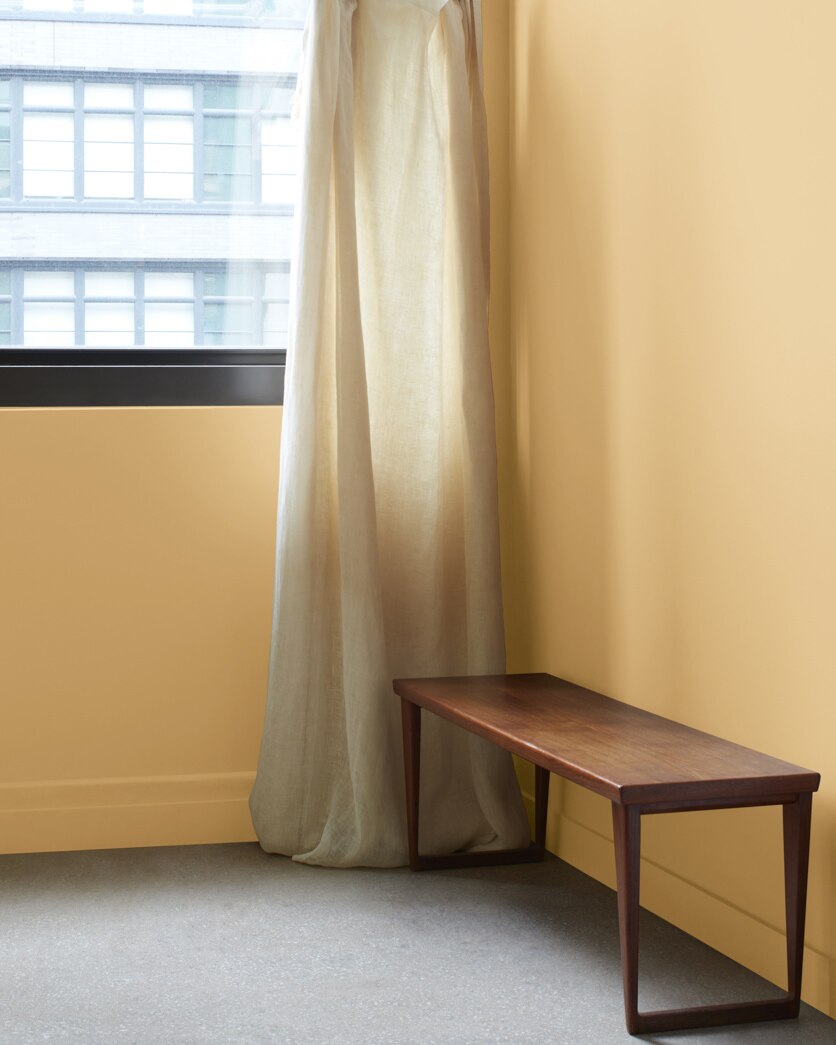 Painted wall in Coffeehouse Ochre CW-385