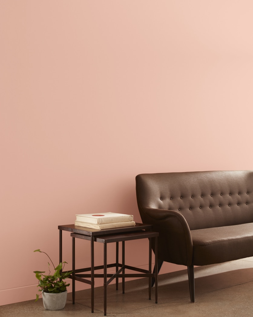Painted wall in Conch Shell 052