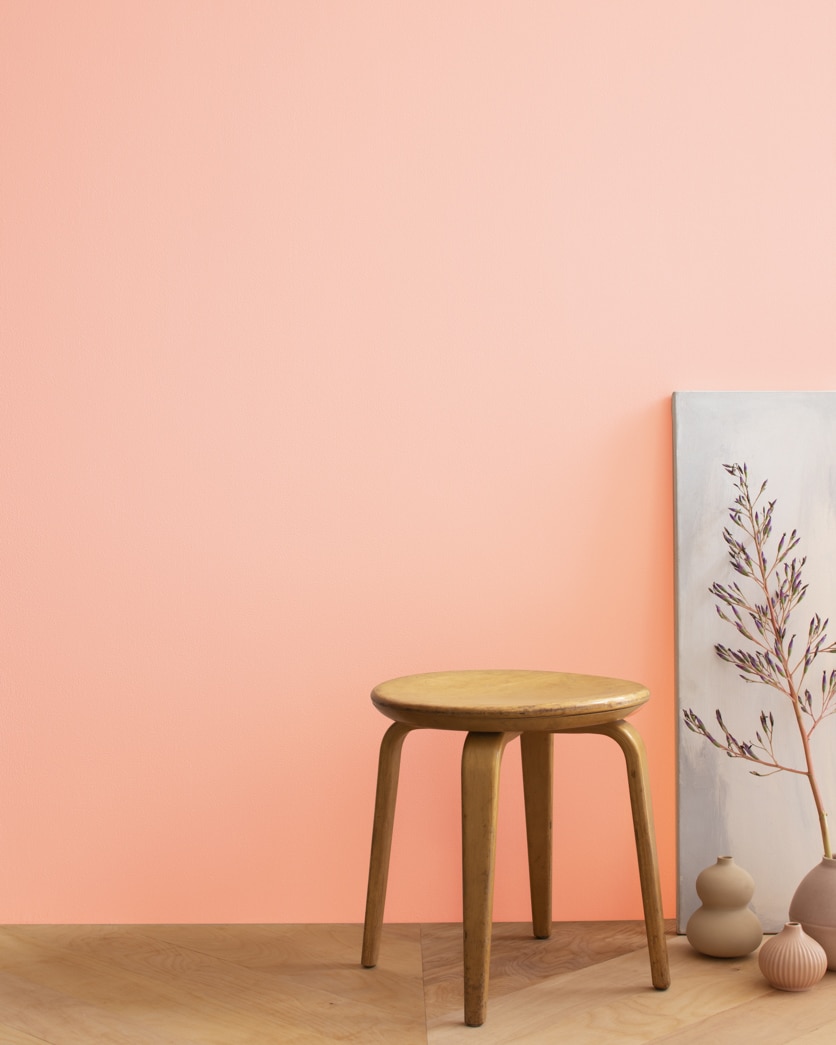 Painted wall in Coral Buff 024