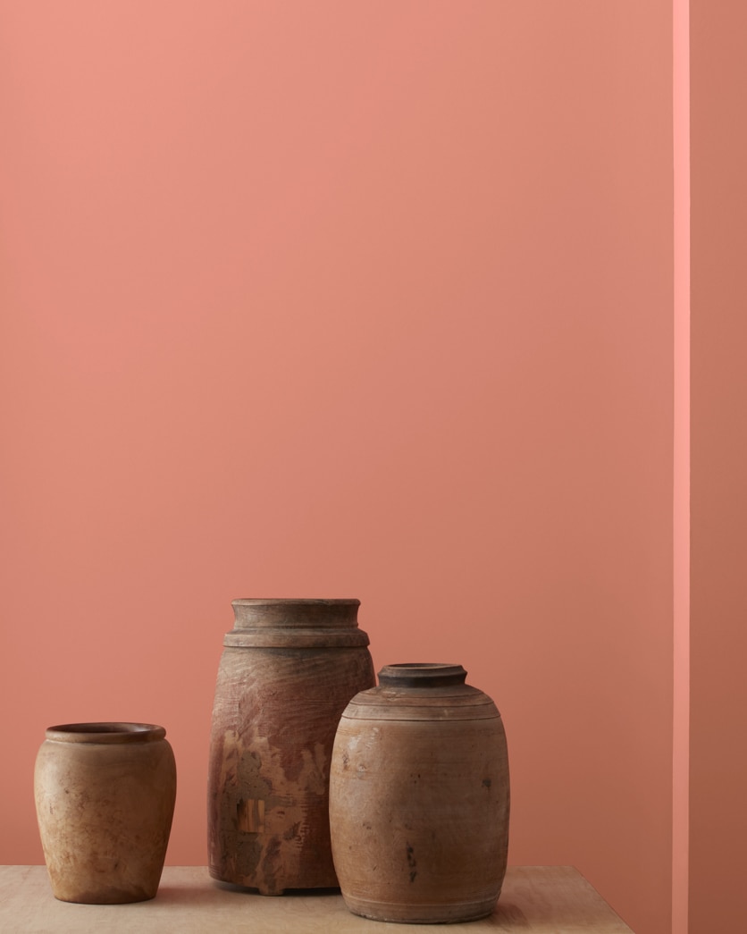 Painted wall in Coral Rock 032