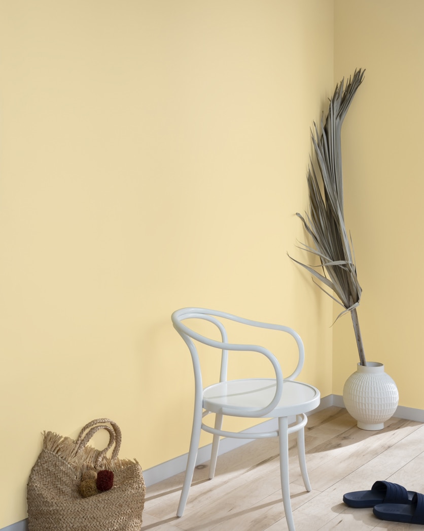 Painted wall in Cornsilk 198