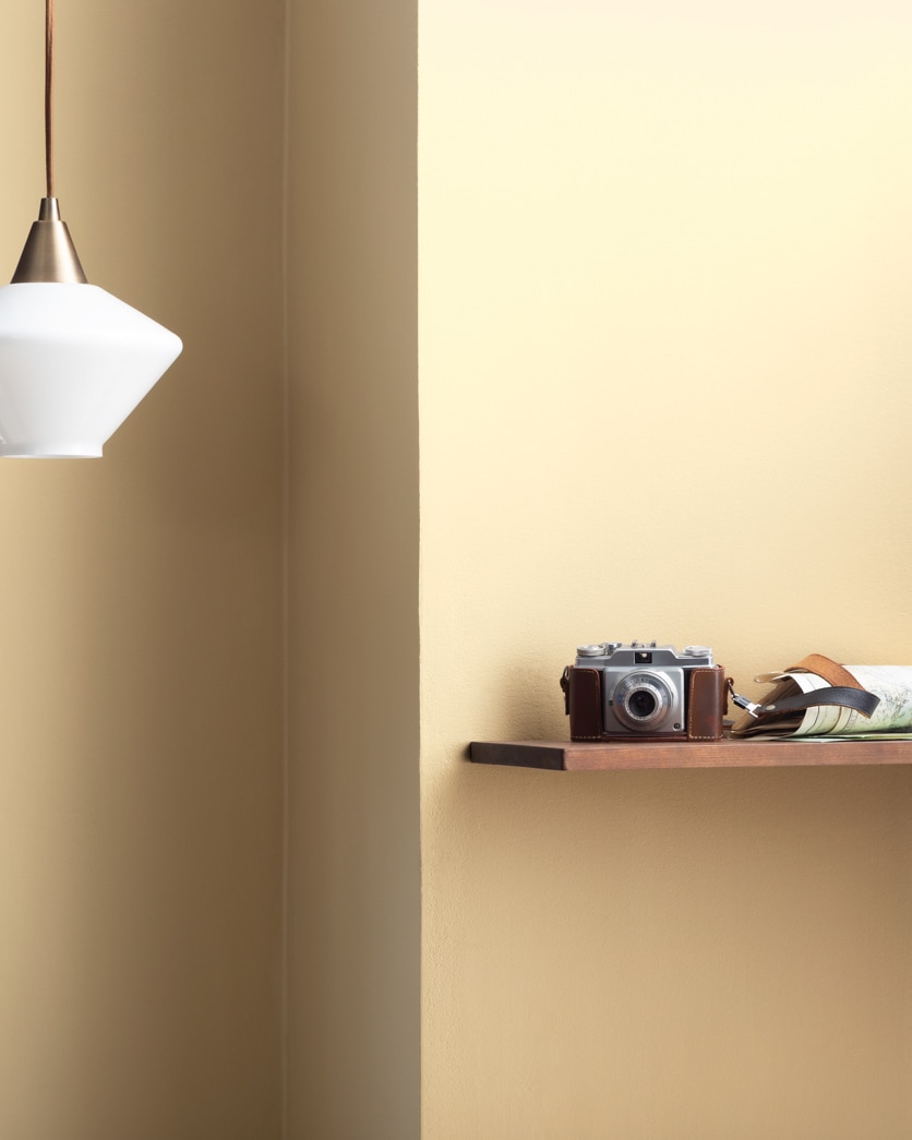 Painted wall in Coronado Cream 219