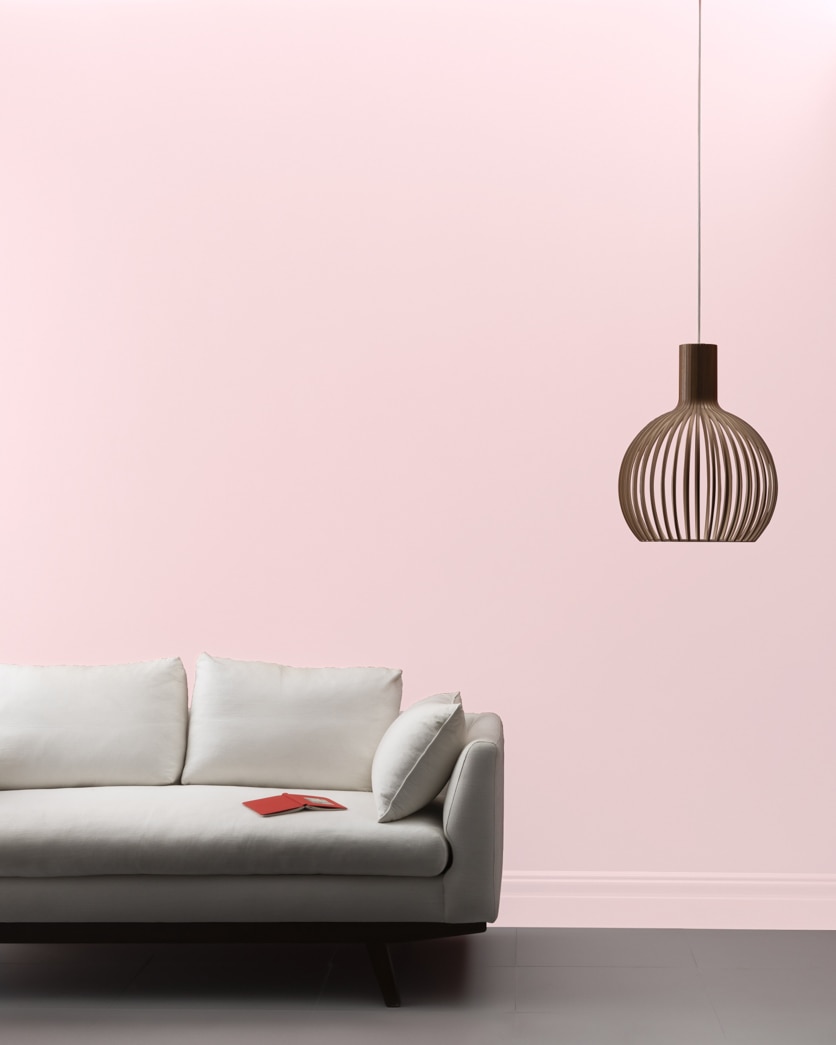 Painted wall in Cotton Candy 1268