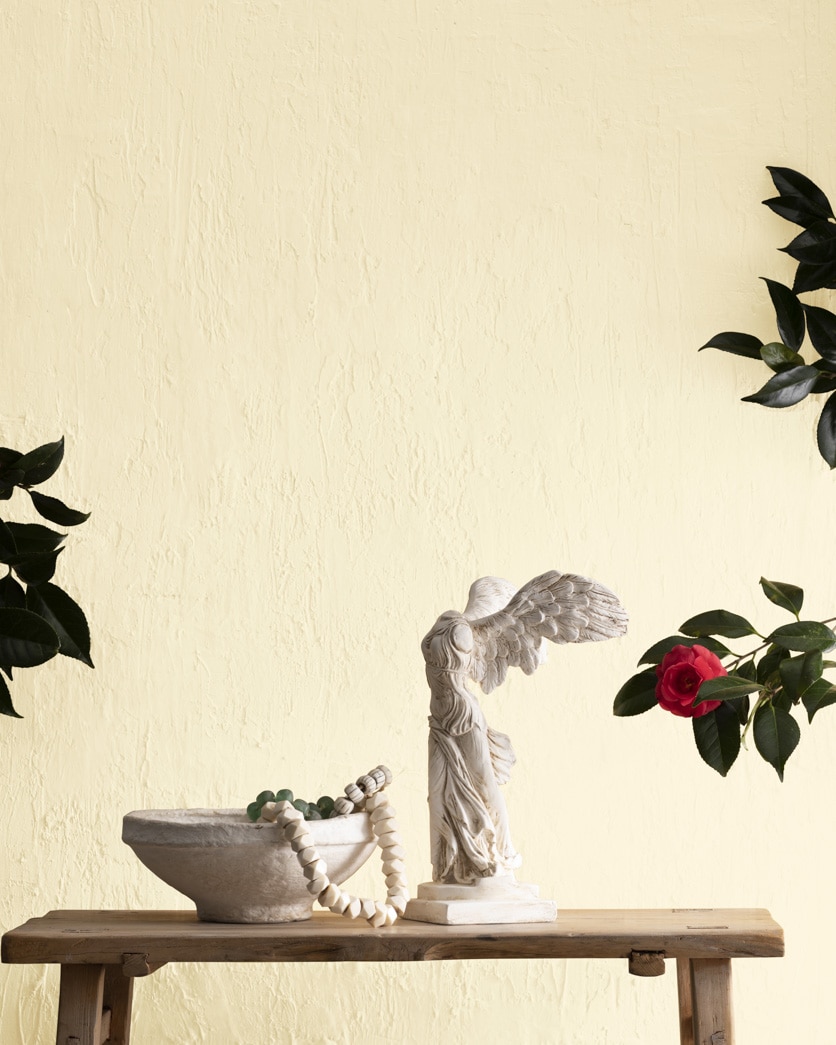 Painted wall in Cotton Tail 2155-70