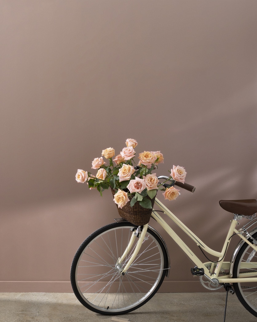 Painted wall in Cougar Brown 2106-40