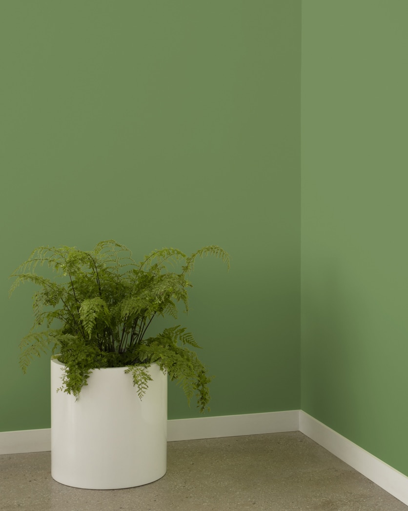 Painted wall in Courtyard Green 546