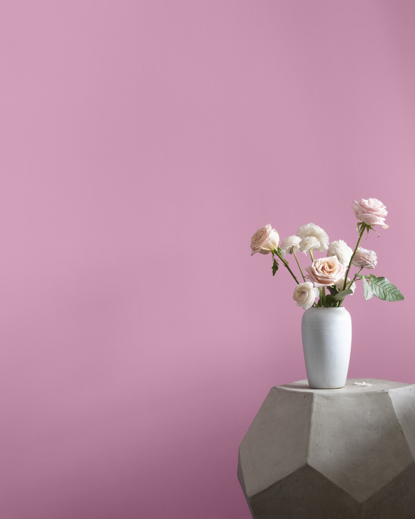 Painted wall in Cranberry Ice 1362