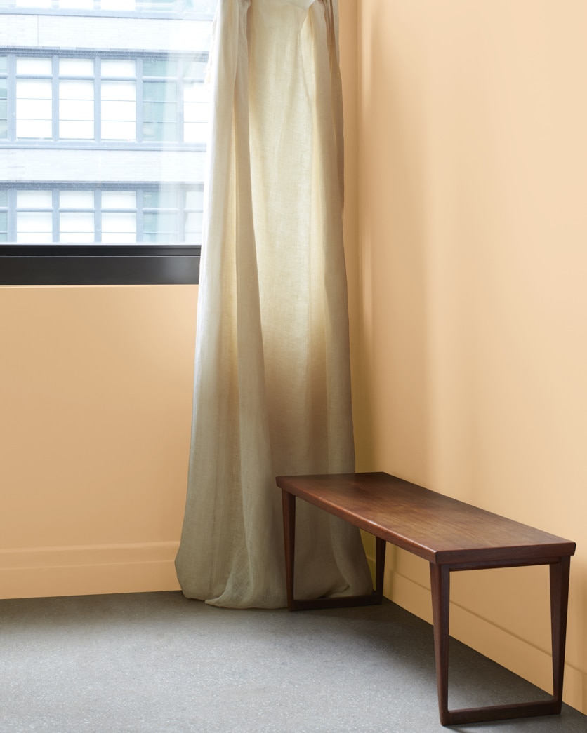 Painted wall in Creamy Custard 1145