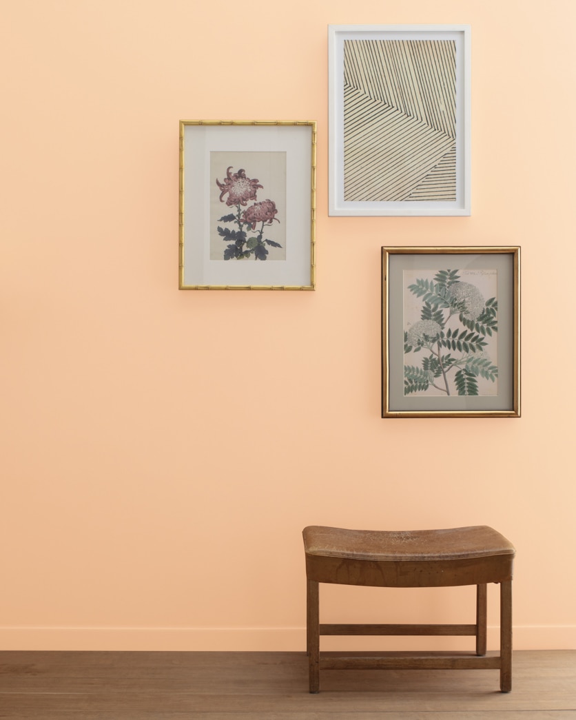 Painted wall in Creamy Orange 2166-50