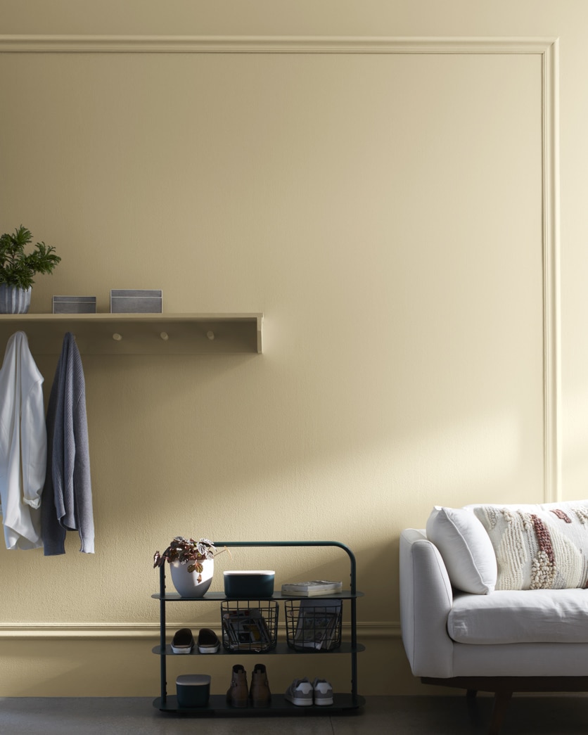 Painted wall in Crisp Khaki 234